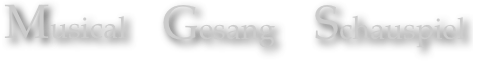 Schauspiel Gesang Musical